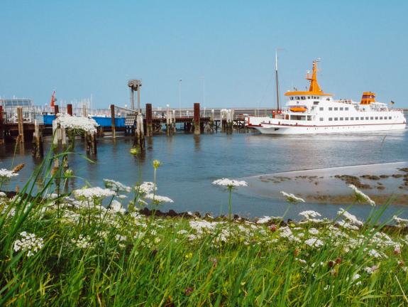 Tagesausflüge mit dem Schiff Nordseeinsel Langeoog