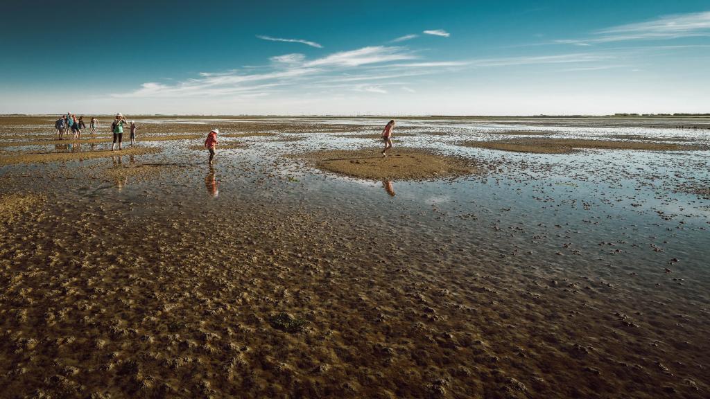 Lebensraum Wattenmeer Nordseeinsel Langeoog