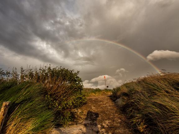 Strandübergang im Wind