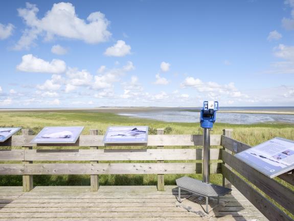 Beobachtungsplattform für Seehunde Die Aussichtsplattform Osterhook