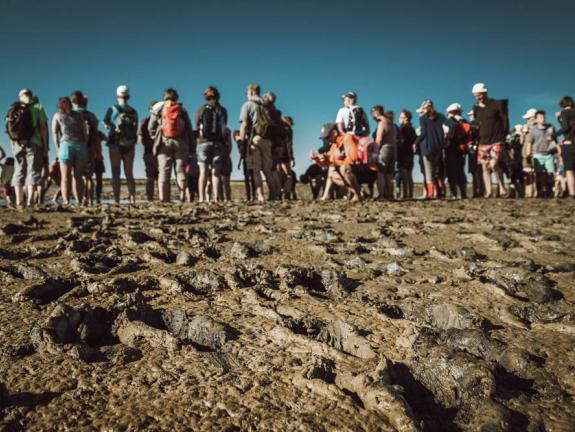 Das Wattenmeer gilt als produktivstes Ökosystem der Erde. Wandergruppe im Watt