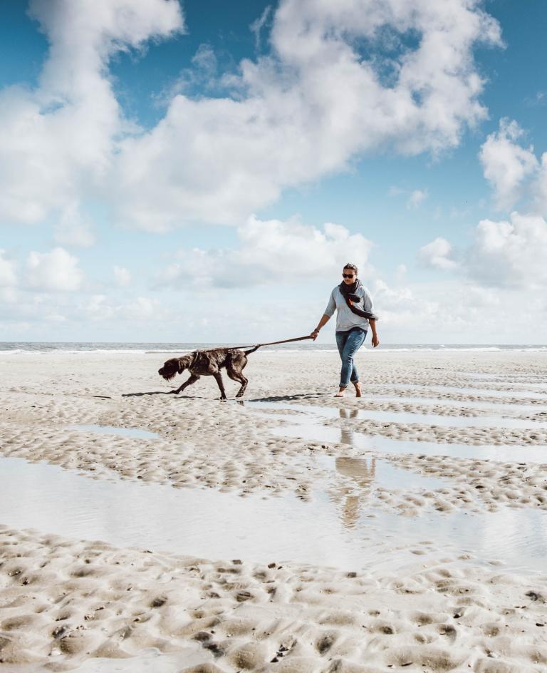Frühling Nordseeinsel Langeoog