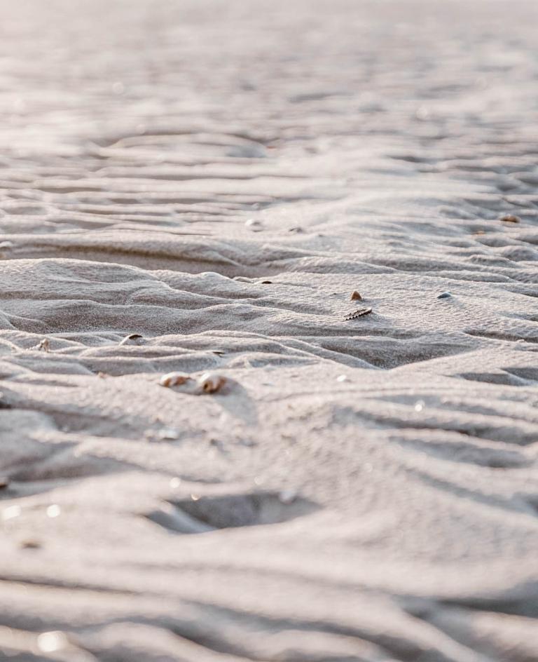 14 Kilometer Strand: Ab in die längste Sandkiste der Welt Sand mit Muscheln am Strand