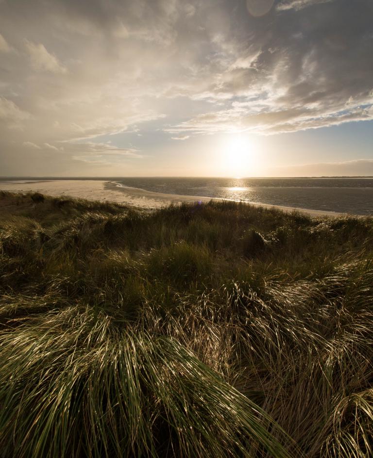 Wintersonne über den Dünen