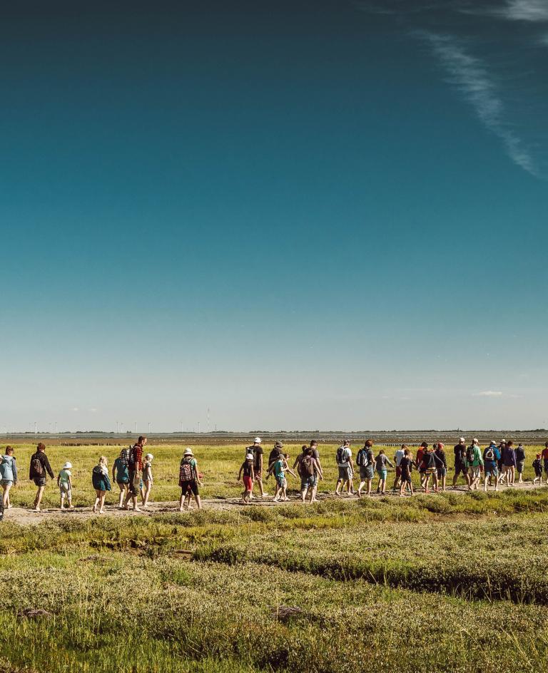 Auf dem Weg ins Watt: Wattwanderer bei perfektem Inselwetter