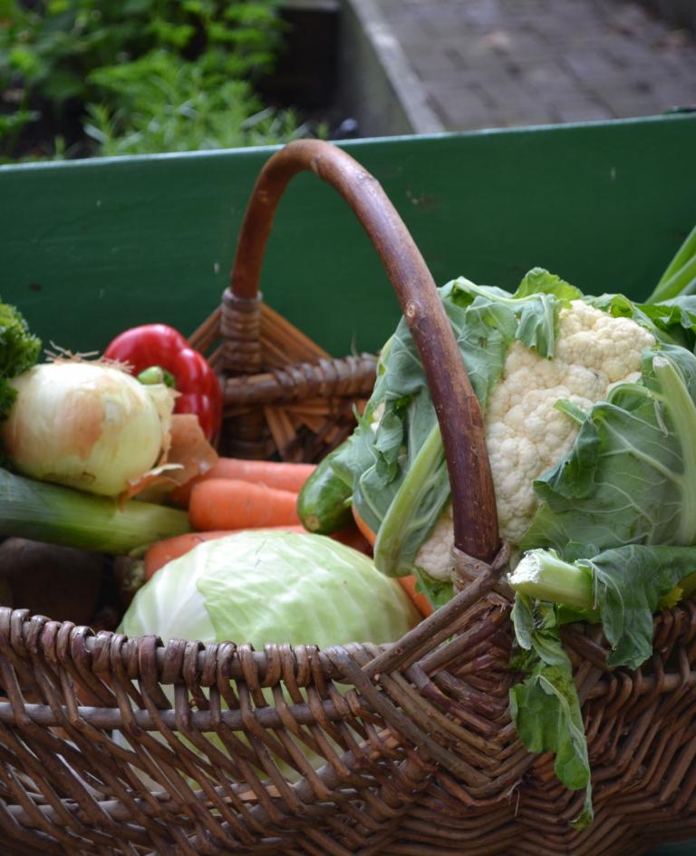 Frisches Gemüse aus der Region