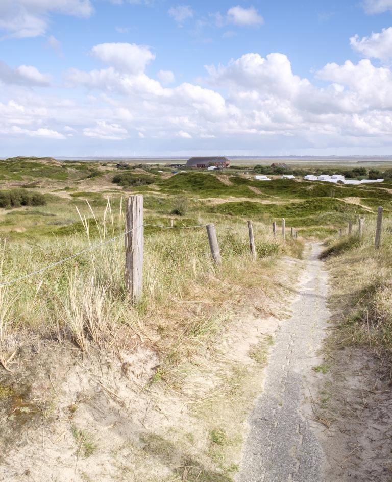 Dünenweg am Zeltplatz