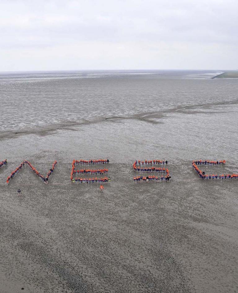 UNESCO-Weltnaturerbe Langeoog