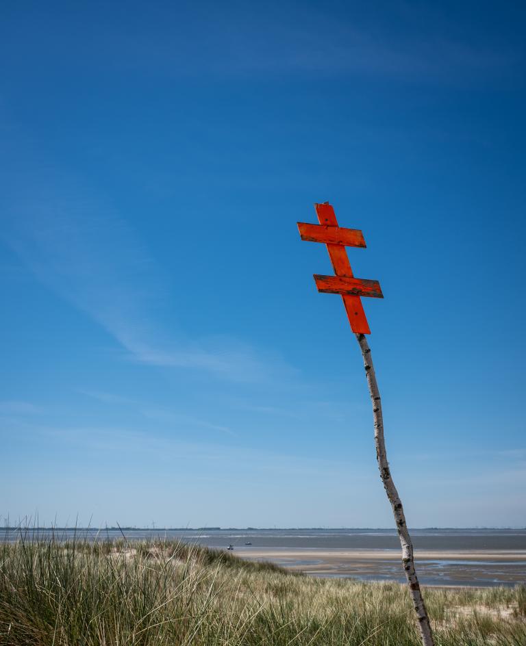 Seebake in den Langeooger Dünen