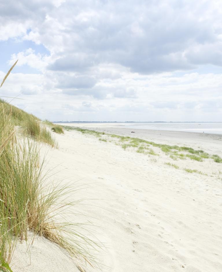 priel nicht durchqueren nordseeinsel langeoog