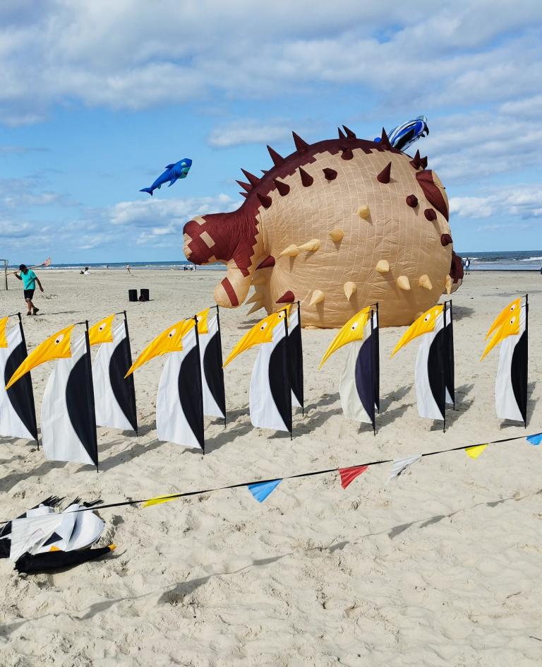 Pinguine am Langeooger Strand