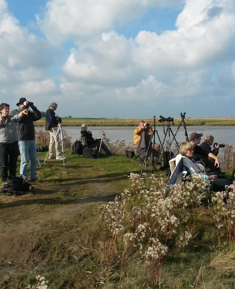 Bild Stefan Pfuetzke Vogelbeobachter