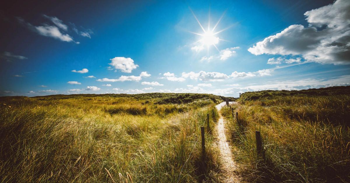 Langeoog Urlaub in der Ferienwohnung, Hotel oder Pension