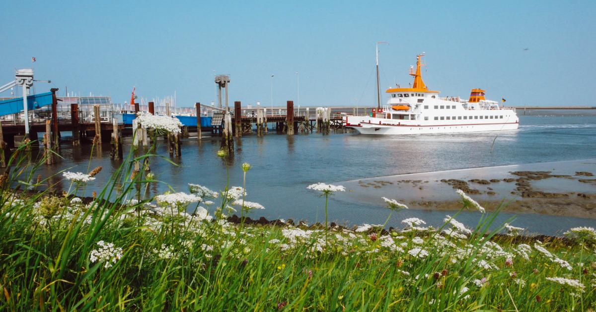 Hafen | Nordseeinsel Langeoog
