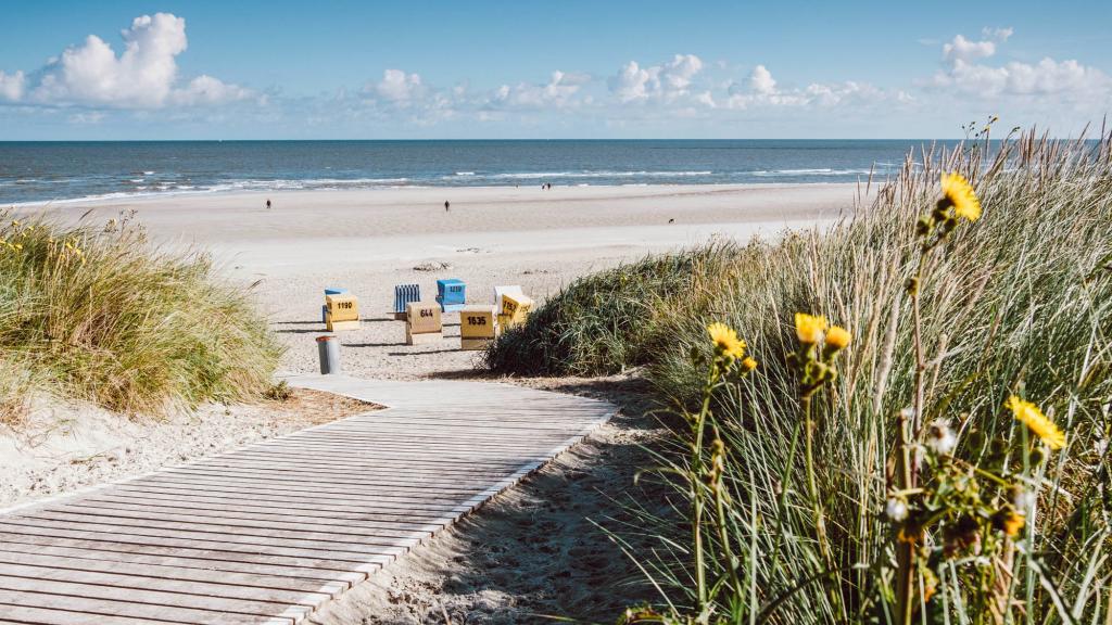 Blick auf Strandkörbe am Langeooger Strand