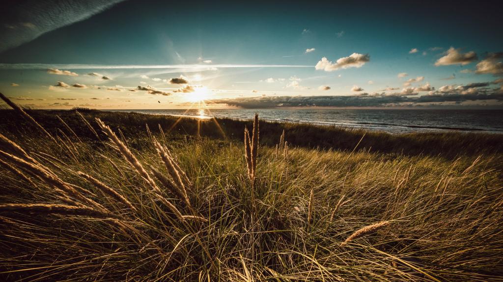 Strand im Herbst: Blick über die Insel nach Westen