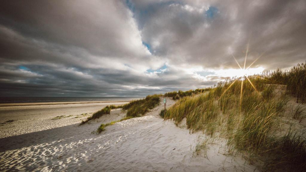 In der Hersbstsonne nach Osten blintzeln
