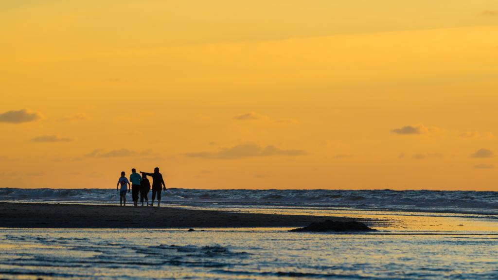 Vier Menschen wandern bei Sonnenschein durch das Watt