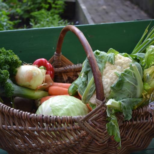 Frisches Gemüse aus der Region