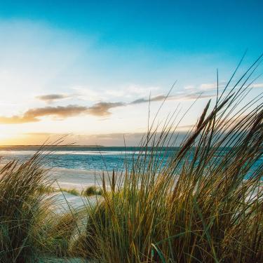 Langeoog hat Strand für Alle!  Blick über die Dünen auf das Meer