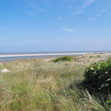 Blick nach Osten: In den wilden Dünenlandschaften wird der Frühling sichtbar. Blick nach Osten: Wilde Dünenlandschaften und weiter Sandstrand