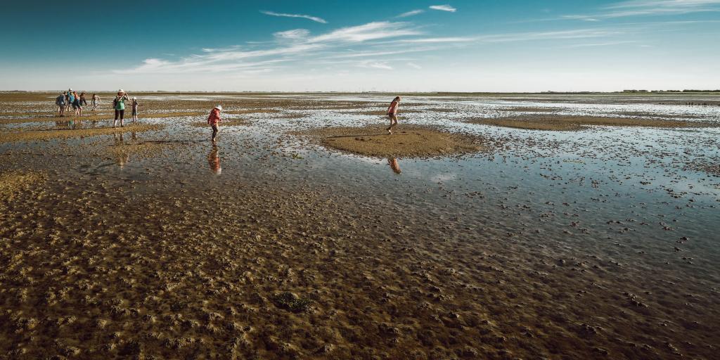 Wattwanderung bei Sonnenschein