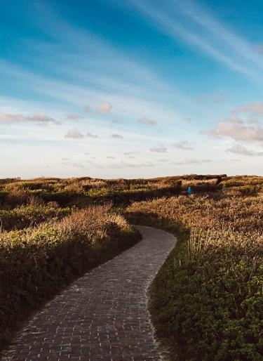 Dünenweg Dünenweg