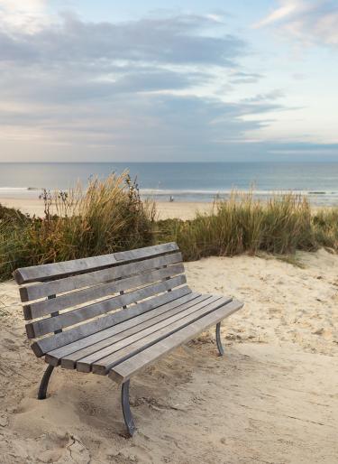 Bank in den Langeooger Dünen