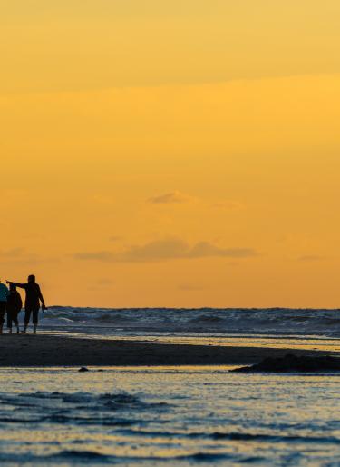 Vier Menschen wandern bei Sonnenschein durch das Watt